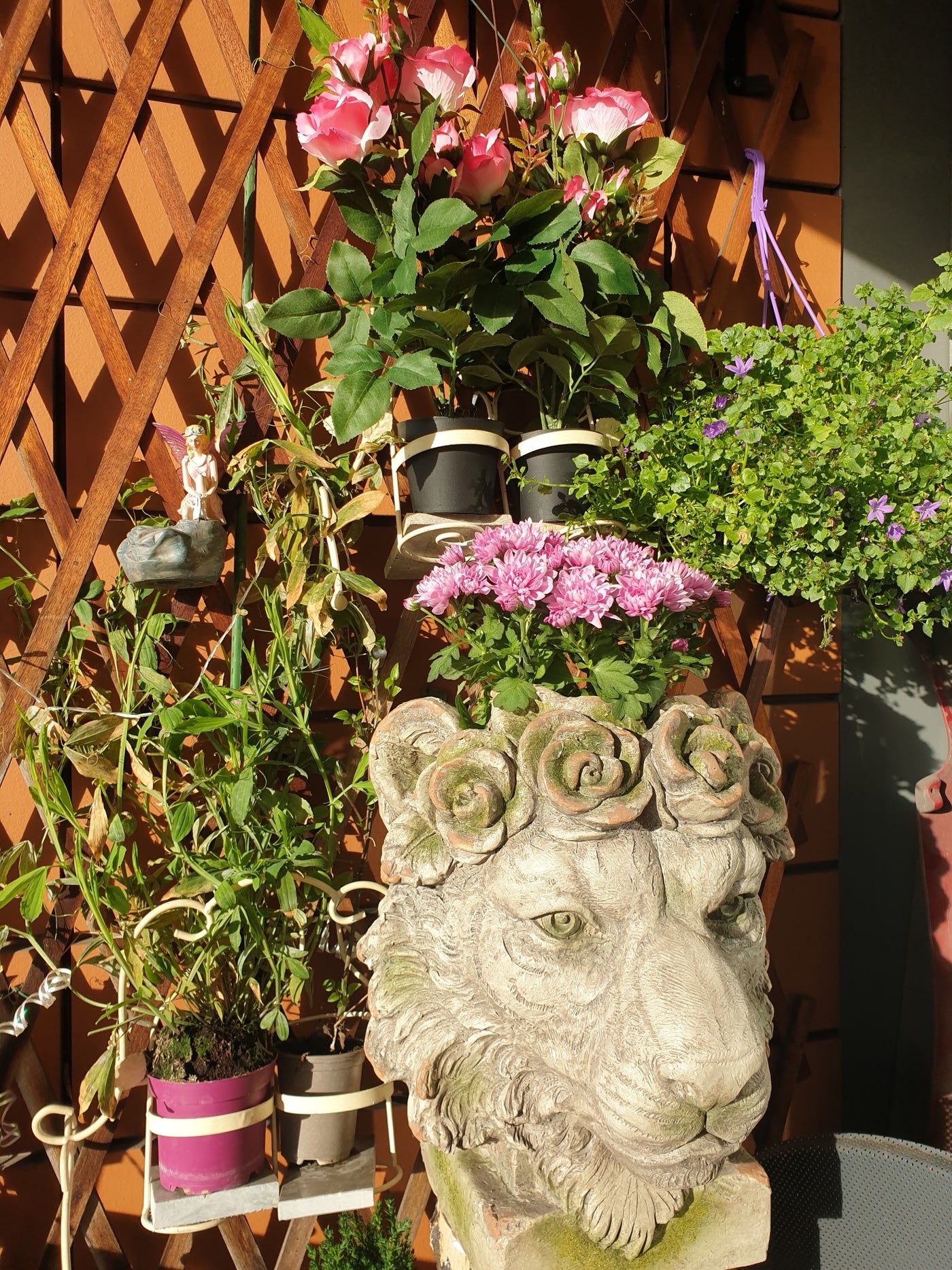 Kiniun Lion planter
