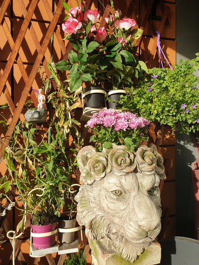 Kiniun Lion planter