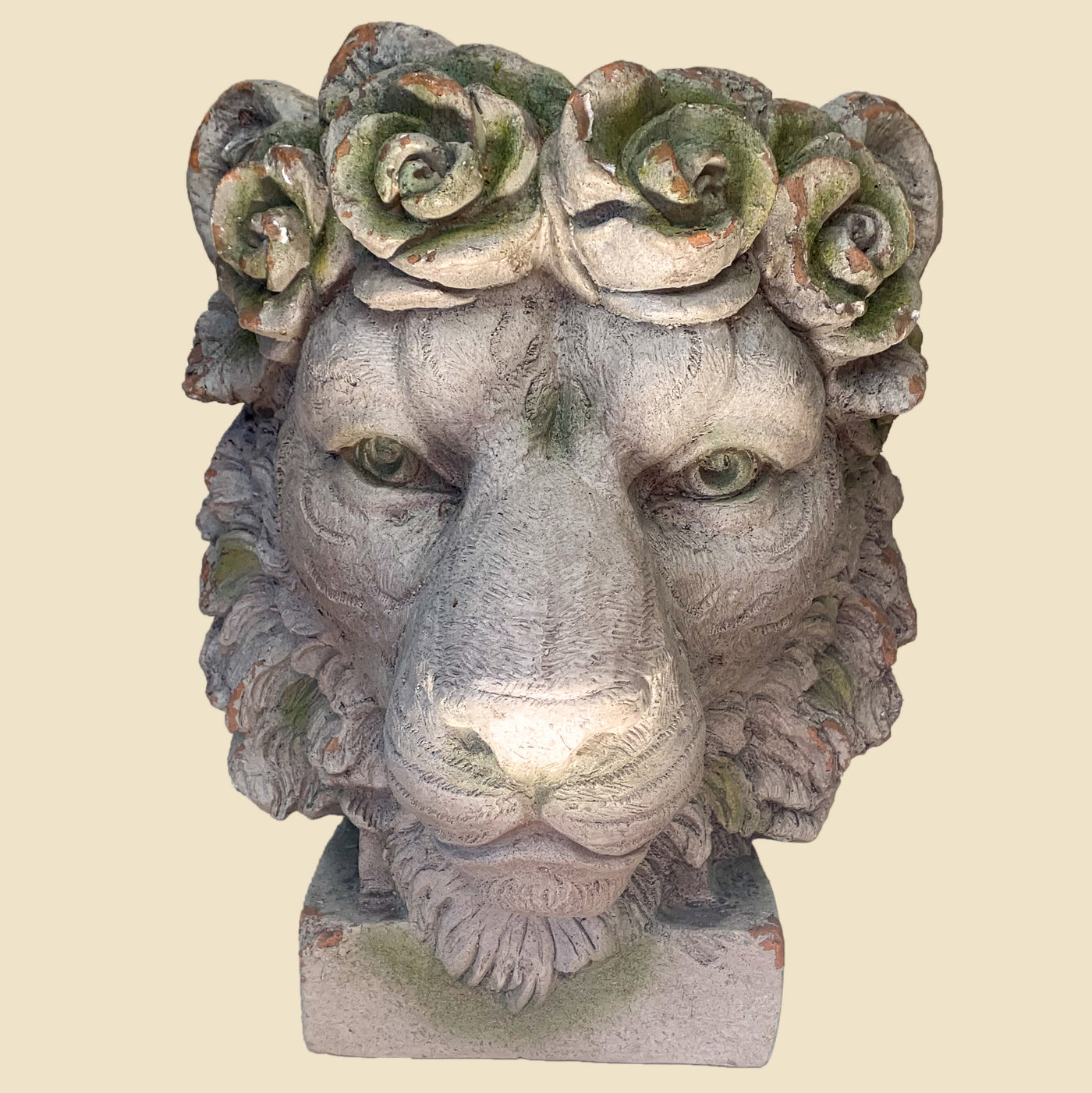 Kiniun Lion planter