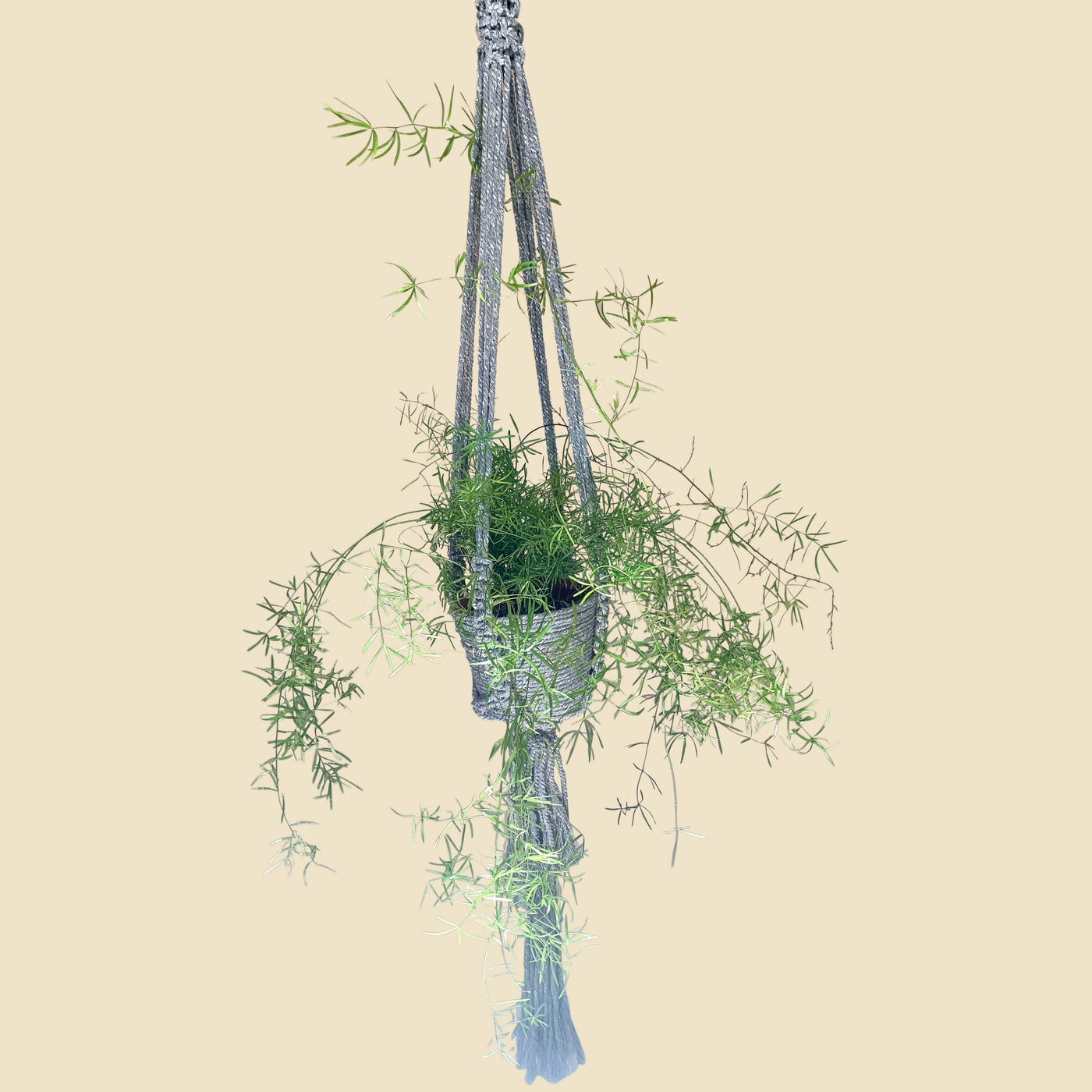 Silver Glitter Plant Hanger