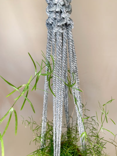 Silver Glitter Plant Hanger