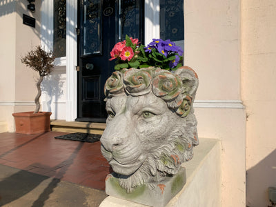 Kiniun Lion planter