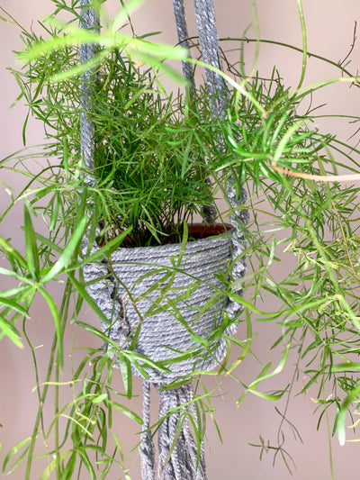 Silver Glitter Plant Hanger